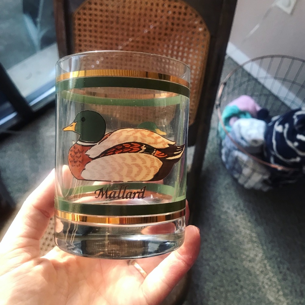 Vintage duck glass